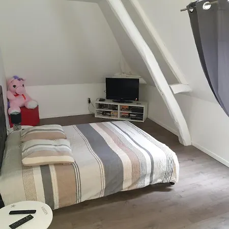 Agreable Maison De Au Coeur De * Troyes